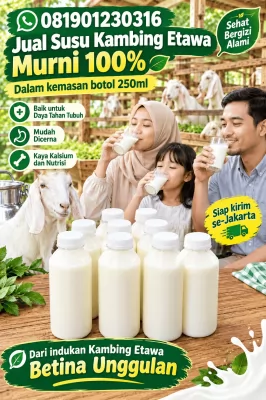 jual susu kambing etawa murni di jakarta